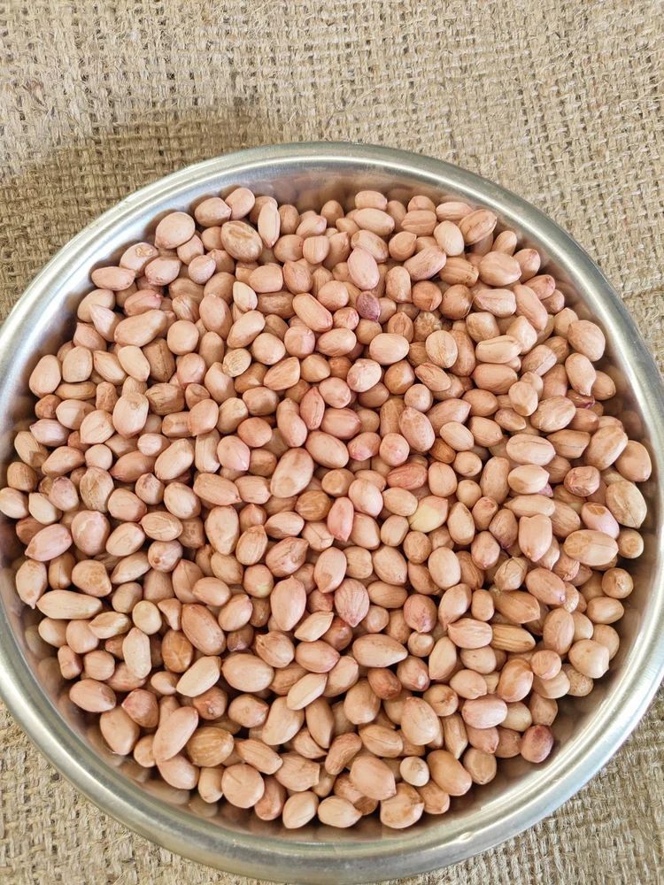 Java Peanuts 1