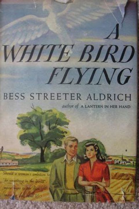 A White Bird Flying