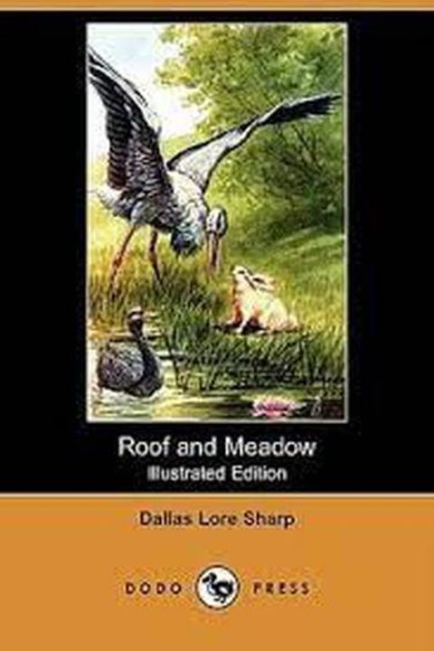 Roof and Meadow