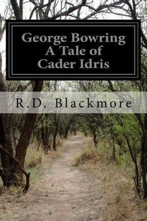 George Bowring, A Tale Of Cader Idris