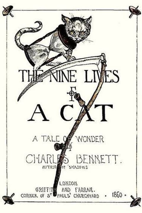 Nine Lives Of A Cat