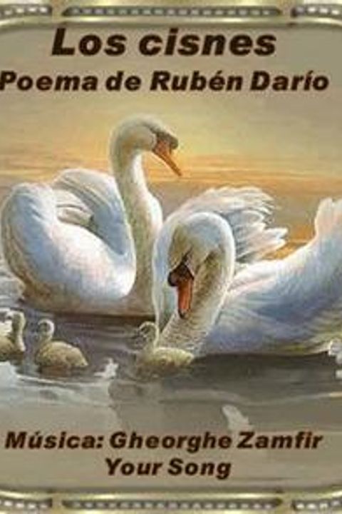 Los Cisnes