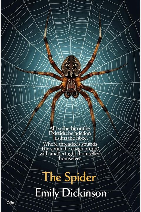 The Spider