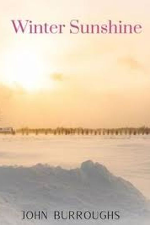 Winter Sunshine