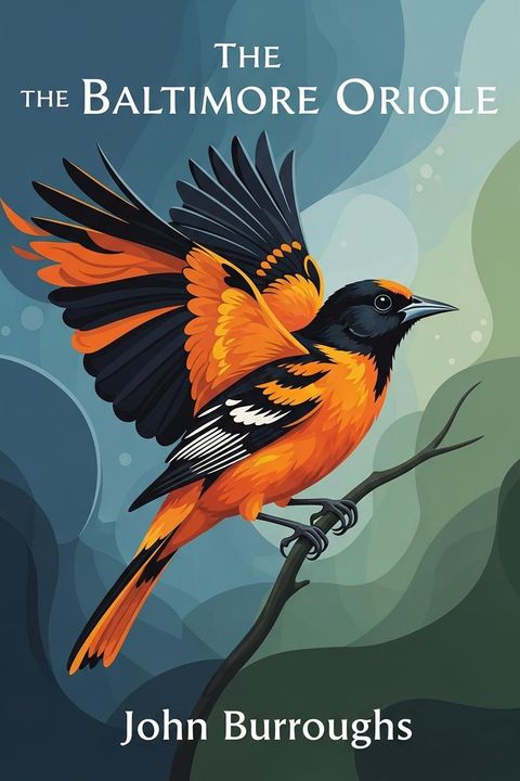 The Baltimore Oriole