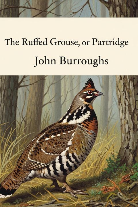 The Ruffed Grouse, or Partridge