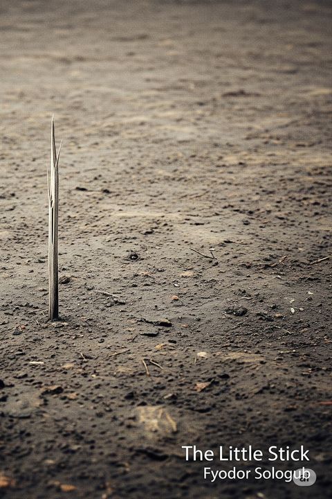 The Little Stick