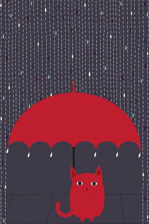 Cat in the Rain