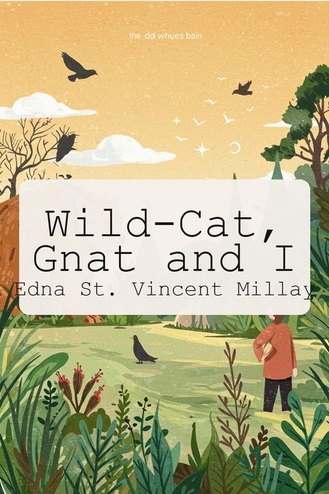 Wild-Cat, Gnat and I