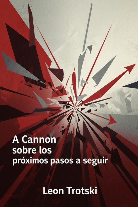 A Cannon sobre los próximos pasos a seguir