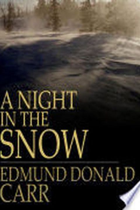 A Night in the Snow