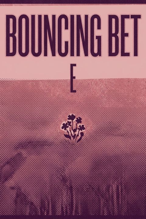 Bouncing Bet