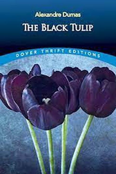 The Black Tulip