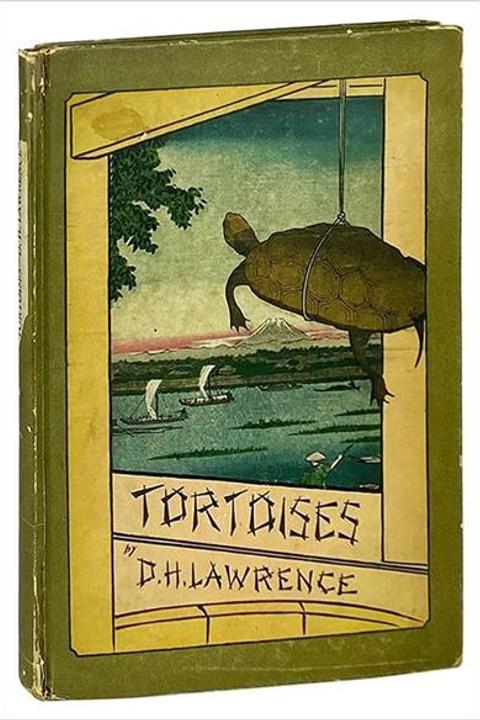 Tortoises