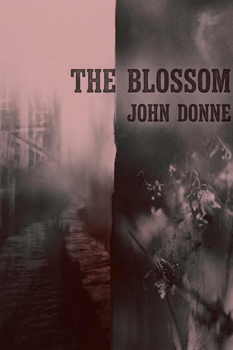 The Blossom