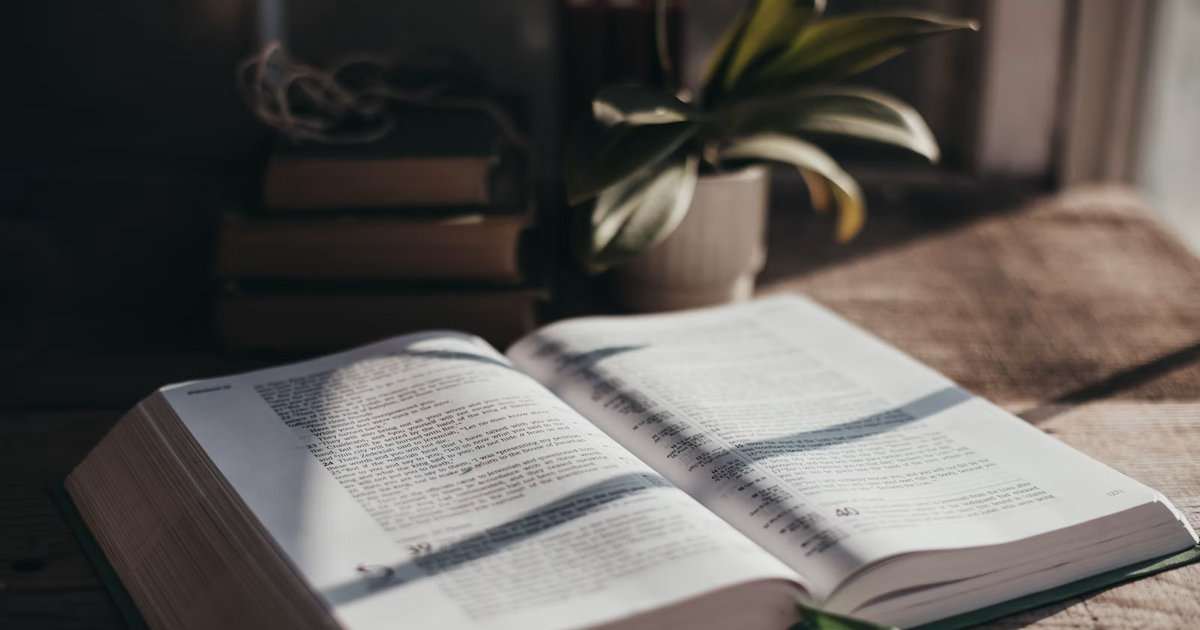 Attention Changes the Book: Why Reading Is Never Passive