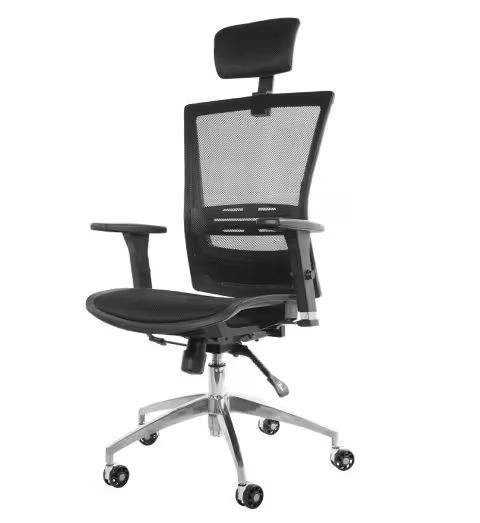 Dofi Fileli Müdür Koltuğu Dofi Fileli Müdür Koltuğu