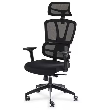 Gent Fileli ve Başlıklı Ofis Çalışma Koltuğu Gent Fileli ve Başlıklı Ofis Çalışma Koltuğu