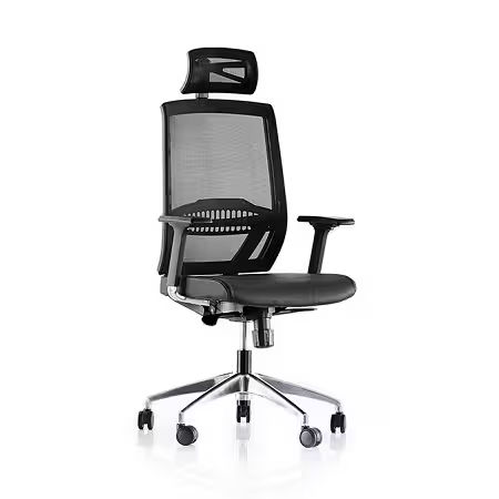 Goldsit Sandax 000C Başlıklı ve Fileli Yönetici Koltuğu