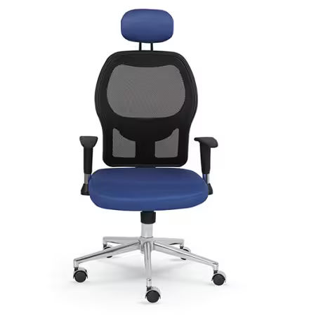 Move Başlıklı ve Fileli Çalışma Sandalyesi Move Başlıklı ve Fileli Çalışma Sandalyesi