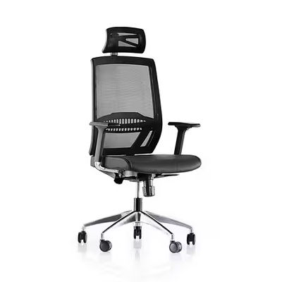 Goldsit Sandax 000C Başlıklı ve Fileli Yönetici Koltuğu