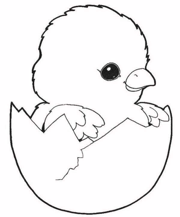 33 Mewarnai Gambar Kartun Ayam Png