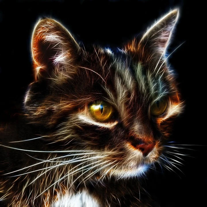 Foto Profil Wa Kucing Lucu Kartun : Gambar Kartun Profil Wa Keren Anime