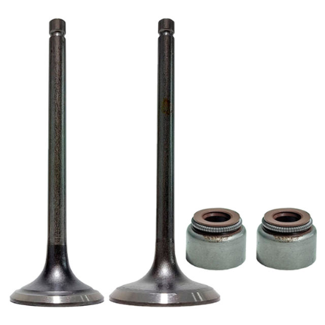 KIT VALVULA ADM/ESC FAZER250/FZ25/LANDER250/TENERE250/XT225/TDM225 C/RET R1 MOTOPARTS