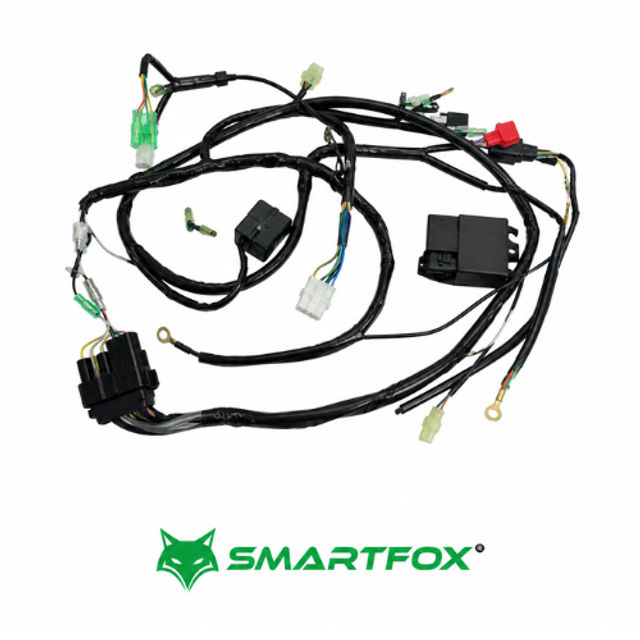FIACAO TITAN150 KS 09 SMARTFOX