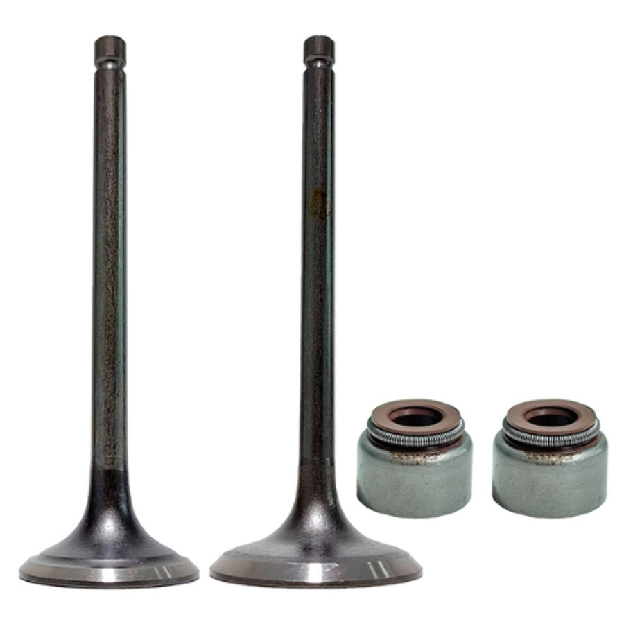 KIT VALVULA ADM/ESC FAZER250/FZ25/LANDER250/TENERE250/XT225/TDM225 C/RET R1 MOTOPARTS