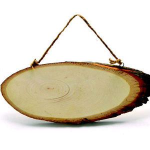 Wooden Tree Section 25 cm