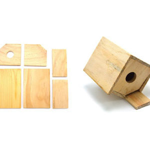 Wooden Model Bird House