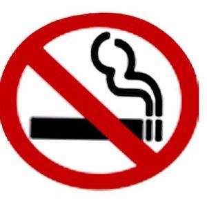 APLI Sign Label No Smoking 114 x 114