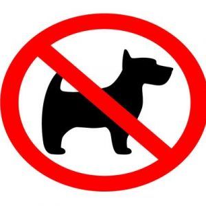 APLI Sign Label No Dogs 114 x 114