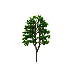 Street Tree 1:200 60 x 38 mm Pk/2