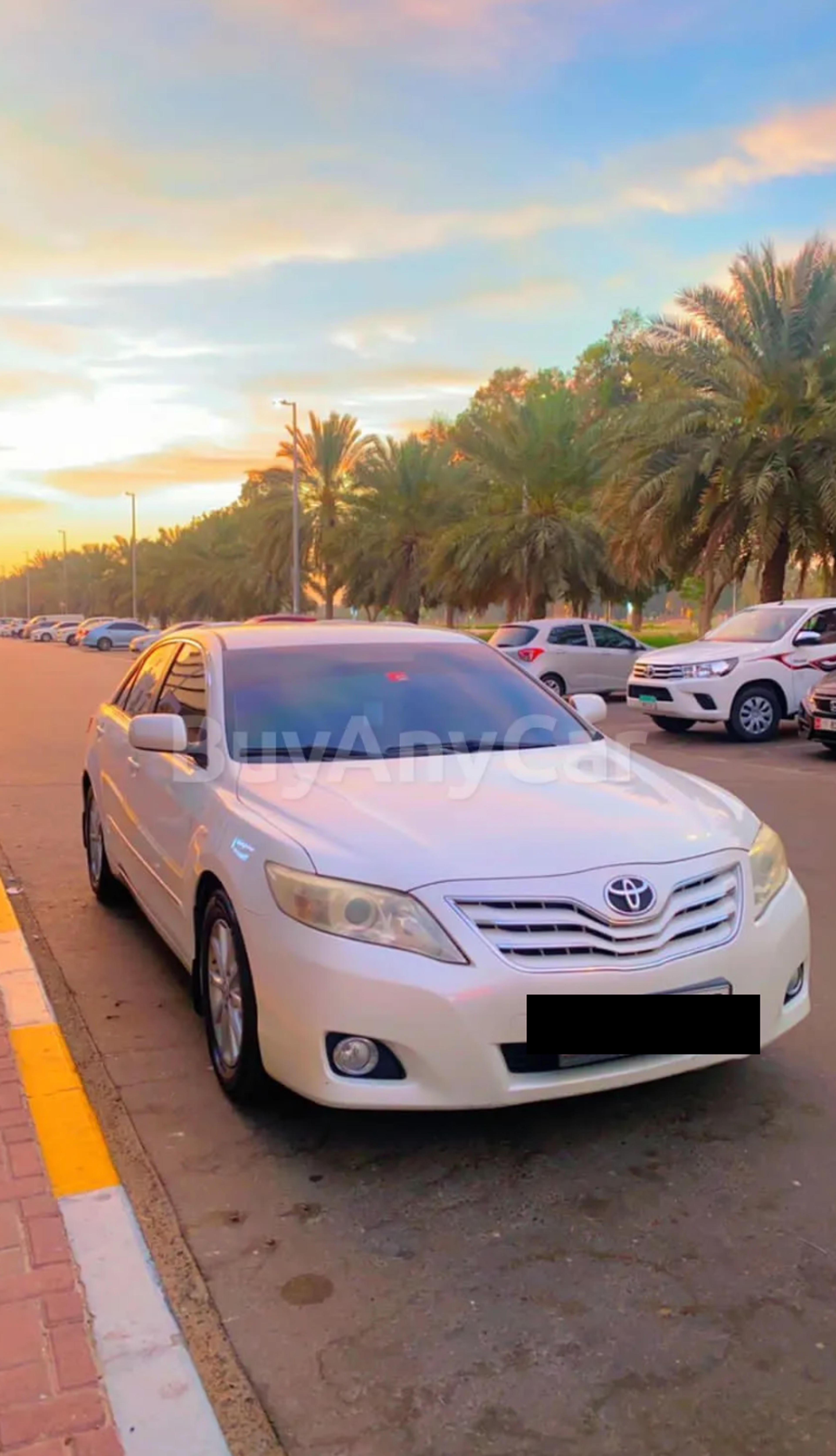 2010 Toyota Camry