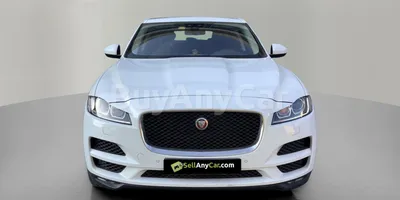 carsDetail