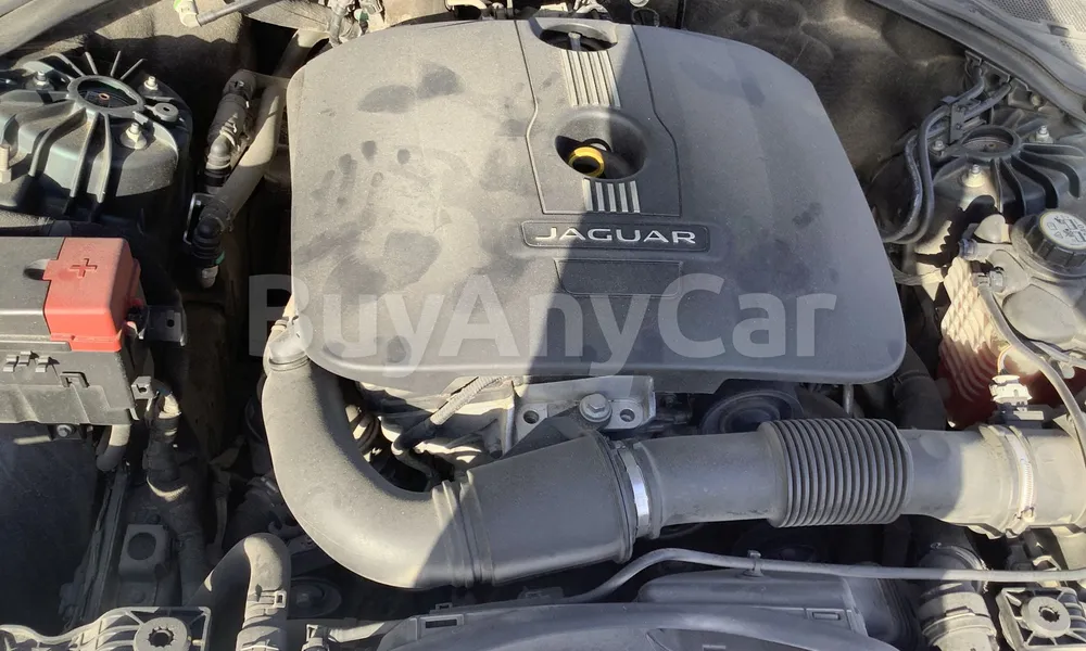 Vehicle photo 6