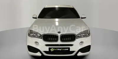 carsDetail