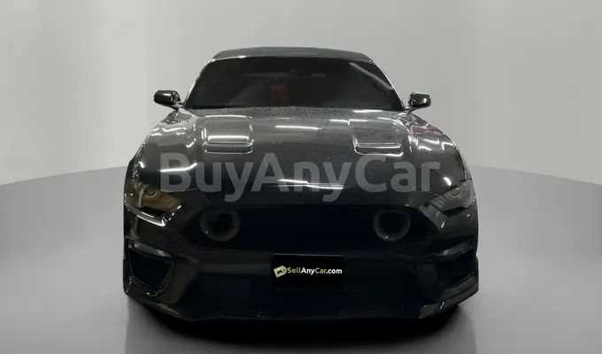 carsDetail