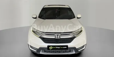 carsDetail