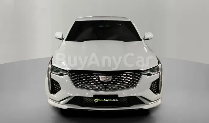 carsDetail