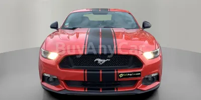 carsDetail