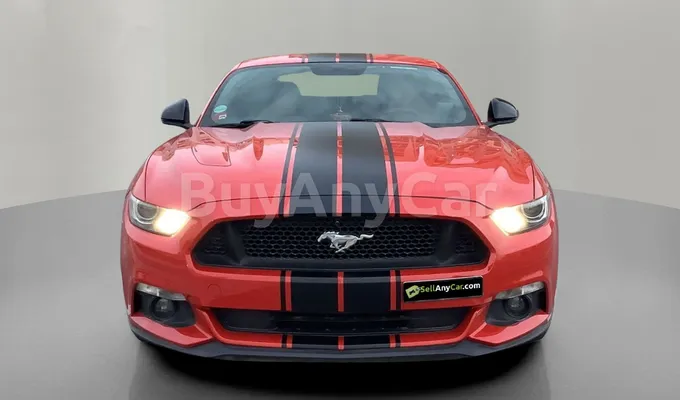 carsDetail