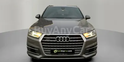 carsDetail