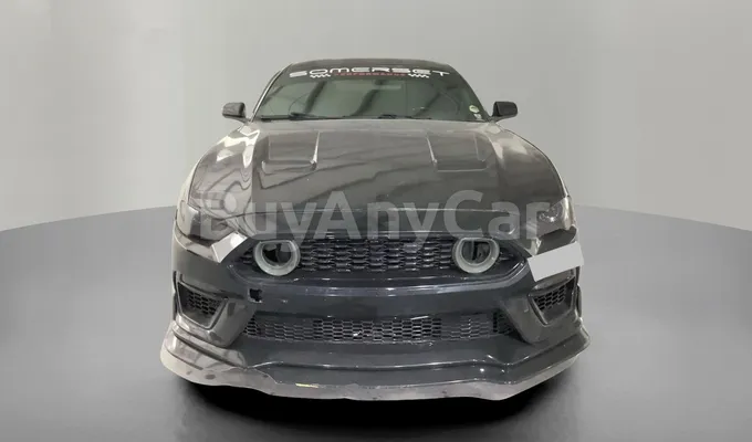 carsDetail