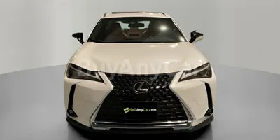 carsDetail
