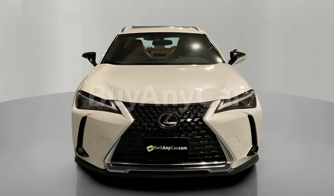 carsDetail