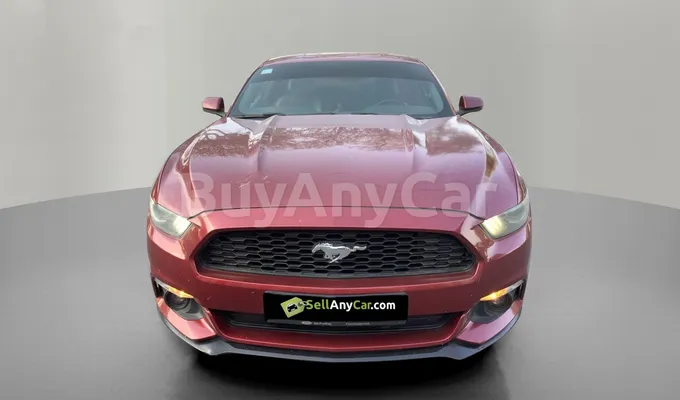 carsDetail
