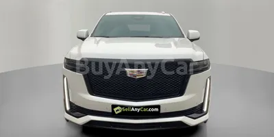 carsDetail